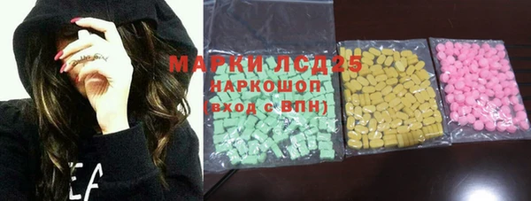 крисы Бородино