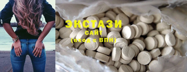 крисы Бородино
