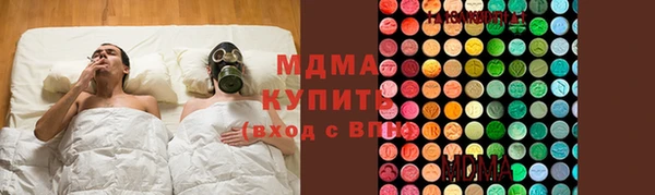 крисы Бородино