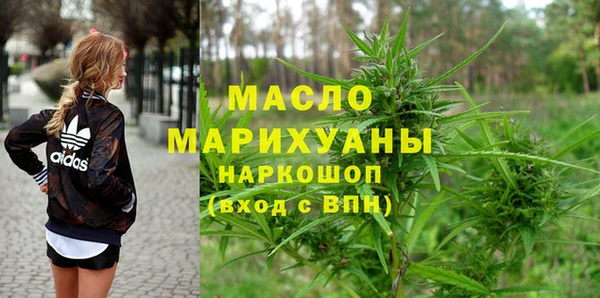 крисы Бородино