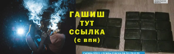 крисы Бородино