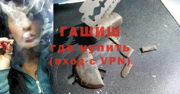 крисы Бородино