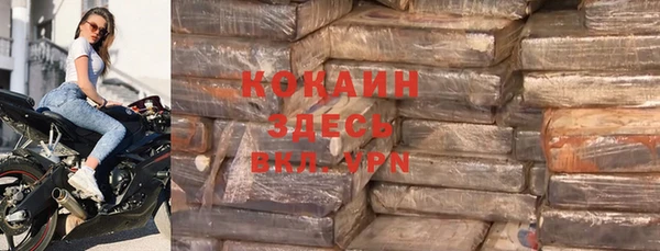 бошки Бронницы