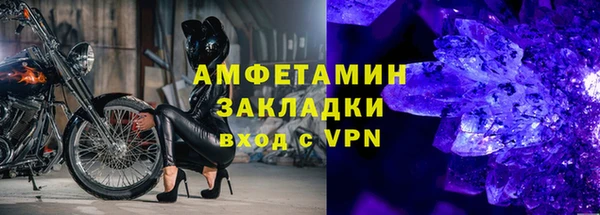 крисы Бородино