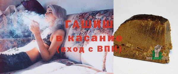 крисы Бородино